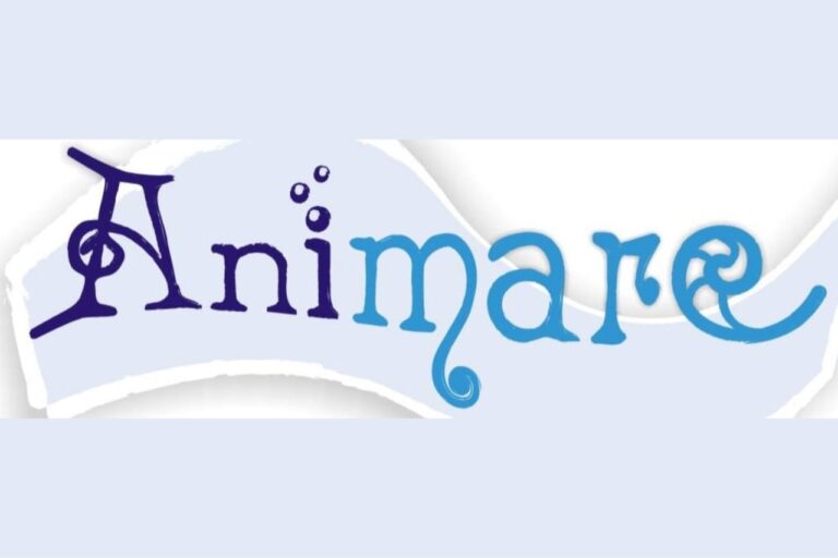 Animare 2026